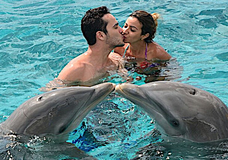 Meet, swim, snorkel or dive with a dolphin!